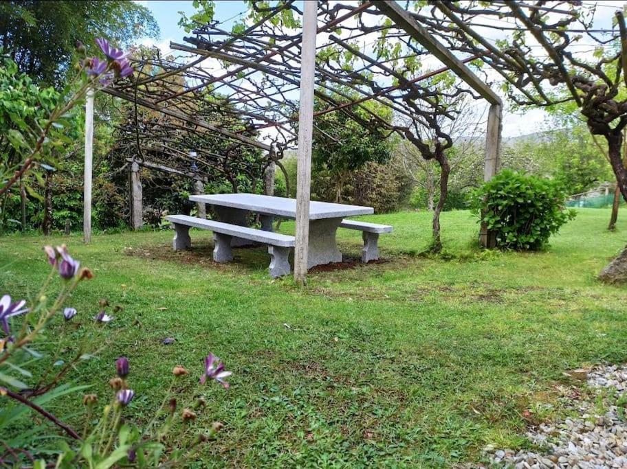 A Vina De Lina. Turismo Rural Con Piscina Y Finca. Pontevedra Exterior photo